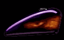 barnshield.gif